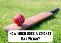 How Much Does a Cricket Bat Weigh? (Detailed Guide)