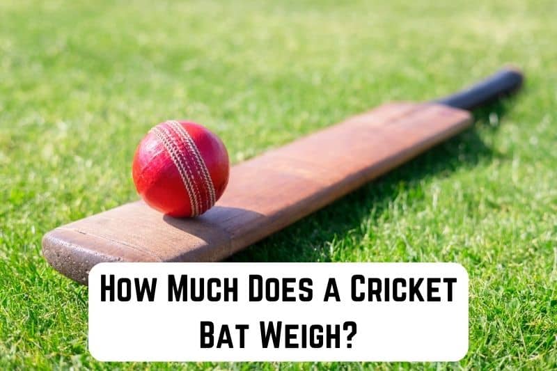 how-much-does-cricket-bat-weigh