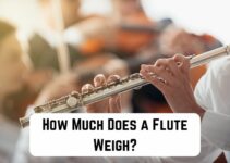How Much Does a Flute Weigh? (400 – 800 grams)