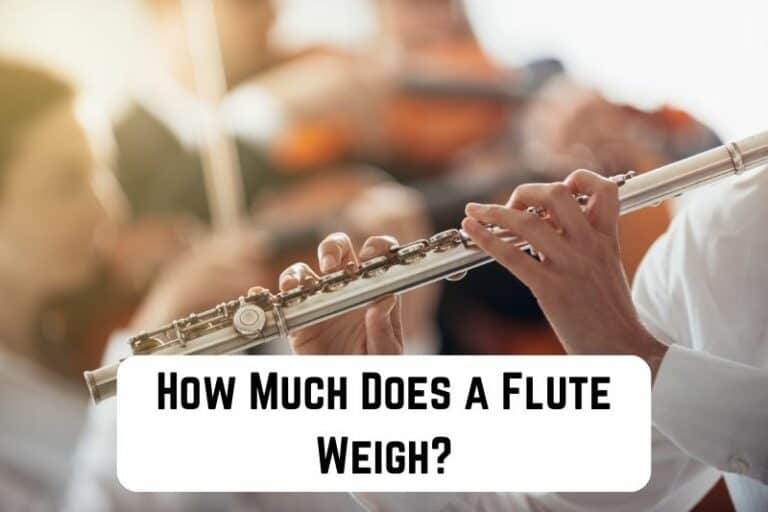 How Much Does a Flute Weigh? (400 800 grams) Measuringly