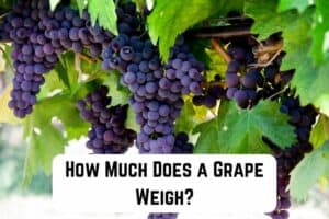 How Much Does a Grape Weigh? (Quick Guide) | Measuringly