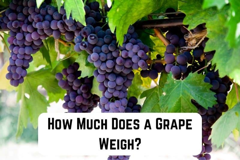 how-much-does-grape-weigh