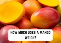 How Much Does a Mango Weigh? (Answer Inside)