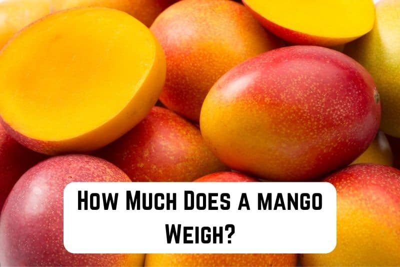 how-much-does-mango-weigh