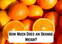 How Much Does an Orange Weigh? (Quick Guide)