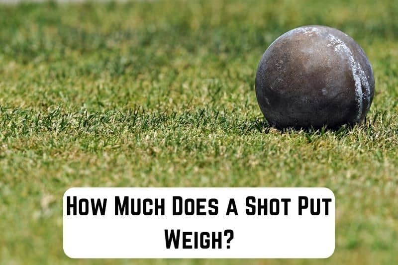 how-much-does-shot-put-weigh