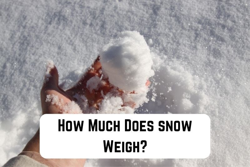 how-much-does-snow-weigh