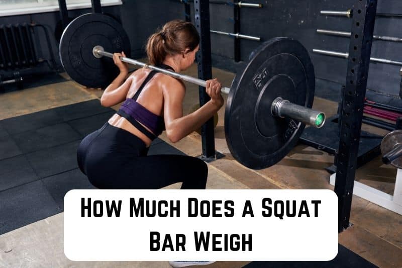 how-much-does-squat-bar-weigh