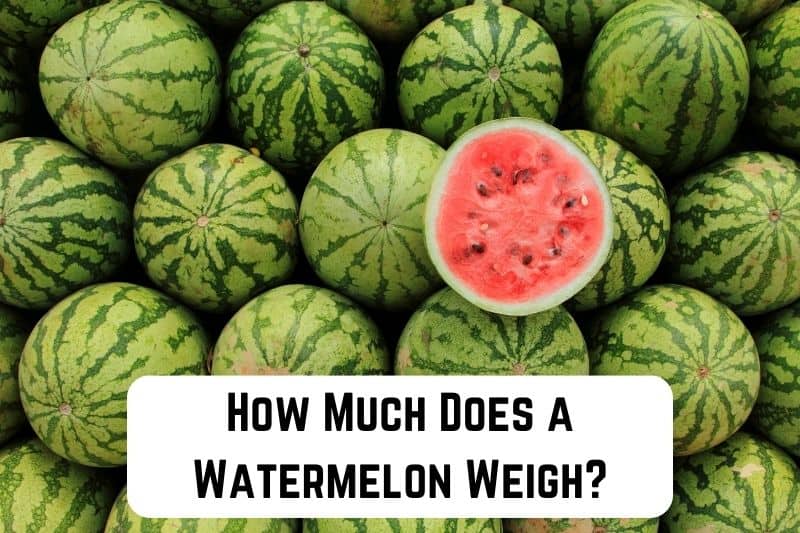 how-much-does-watermelon-weigh