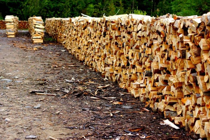 rows-of-cut-wood