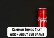 16 Common Things That Weigh About 350 Grams (+Pics)