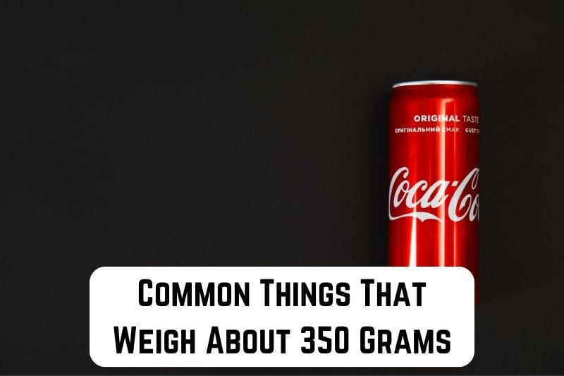 things that weigh 350 gm