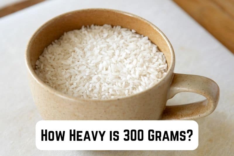 how-heavy-is-300-grams
