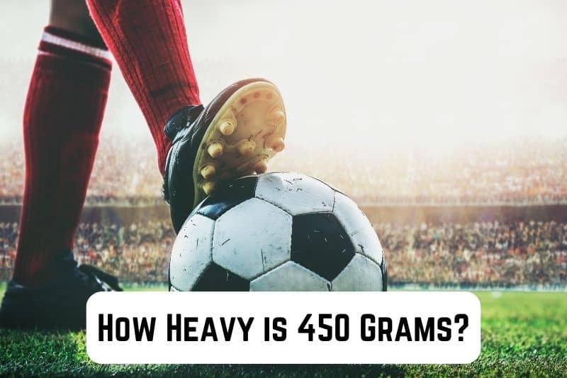 how-heavy-is-450-grams