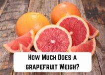 How Much Does a Grapefruit Weigh? (Answered)
