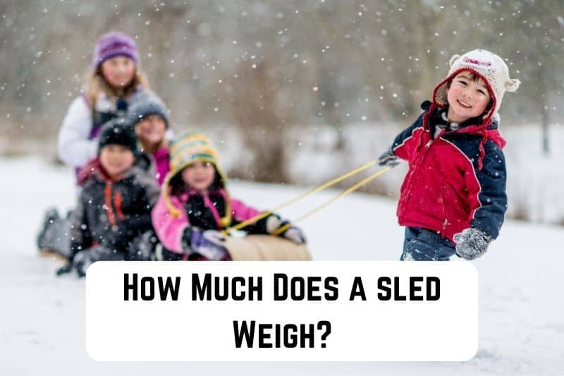 how-much-does-sled-weigh