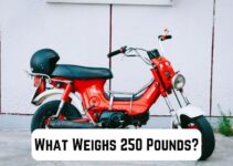 What Weighs 250 Pounds? 13 Common Comparisons (+Pics)