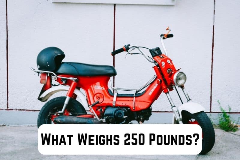 what-weighs-250-pounds