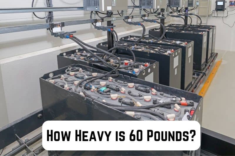 how-big-is-60-pounds